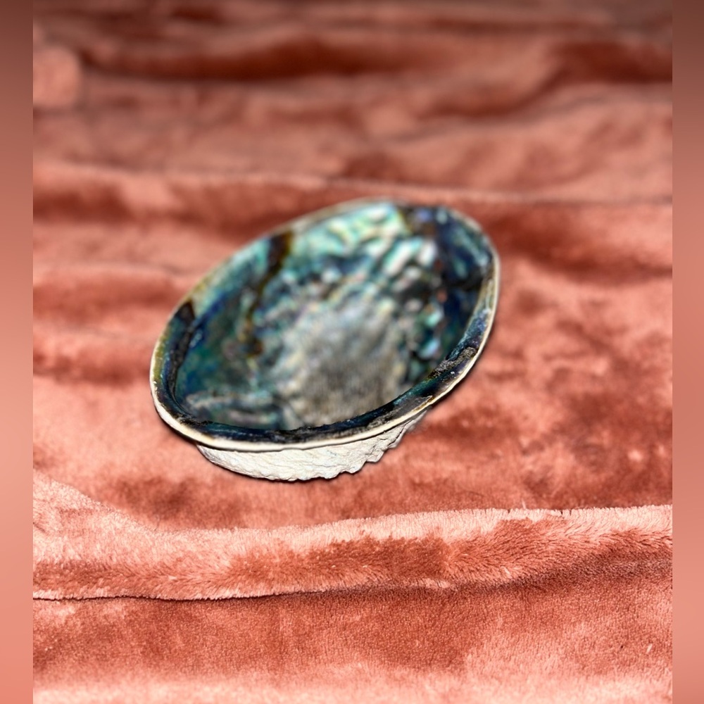 Conch Shell Catch-All - Iridescent & Natural